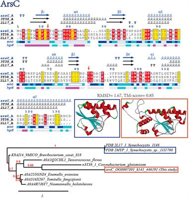 Dissecting the metal resistance genes contributed by virome from mining-affected metal contaminated soils